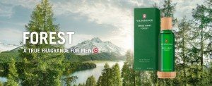 swiss army forest campionigratis.info