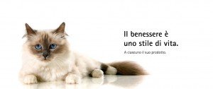 buono sconot purina one gatto campionigratis.info