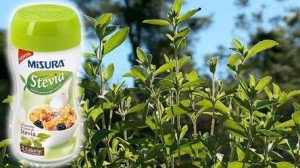 buono sconto misura stevia campionigratis.info